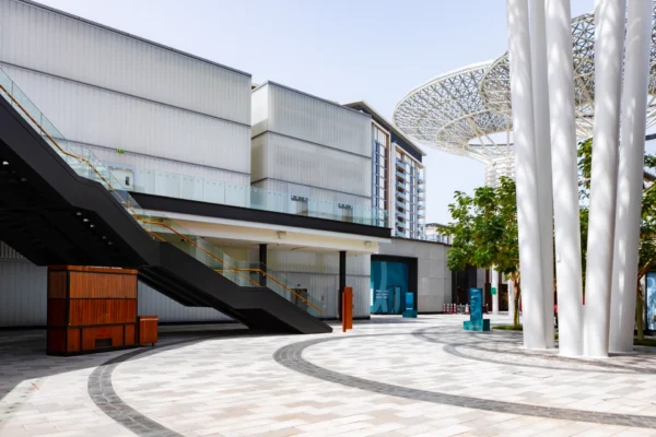 פיקוח בניה ציבורית